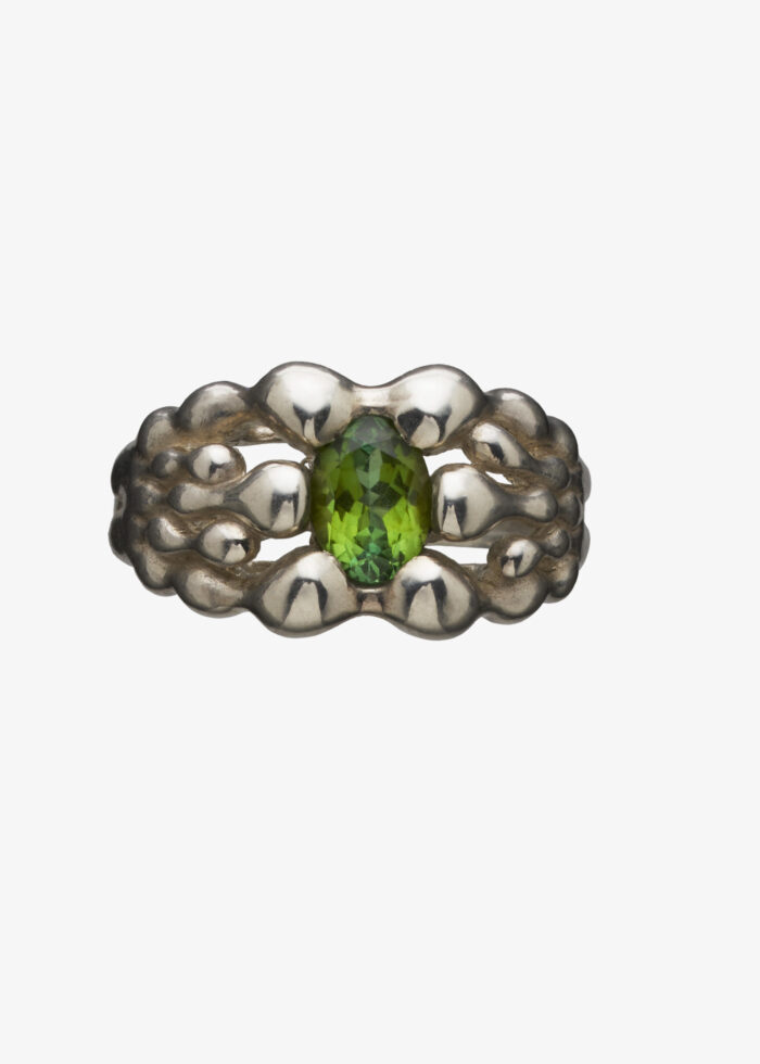 SINAR - Image 3